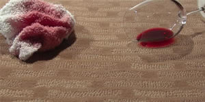 Spots can easily wipe away when using Fiber ProTector® as fabric protection